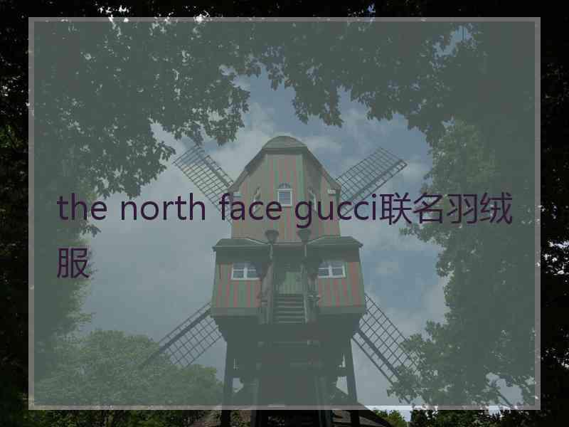 the north face gucci联名羽绒服
