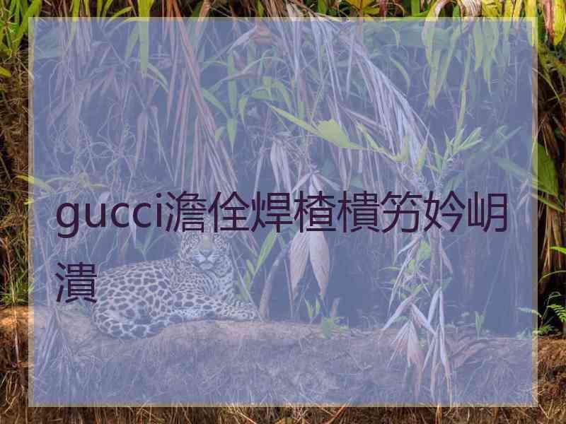 gucci澹佺焊楂樻竻妗岄潰