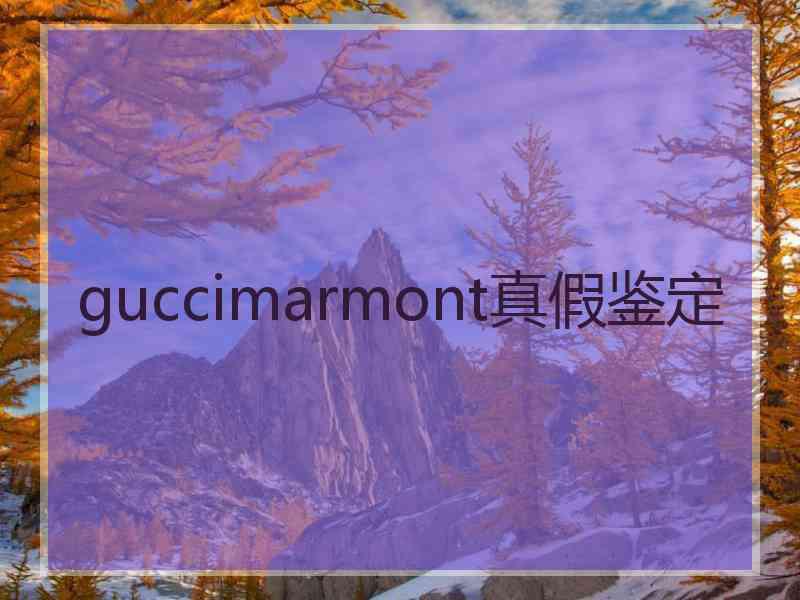 guccimarmont真假鉴定