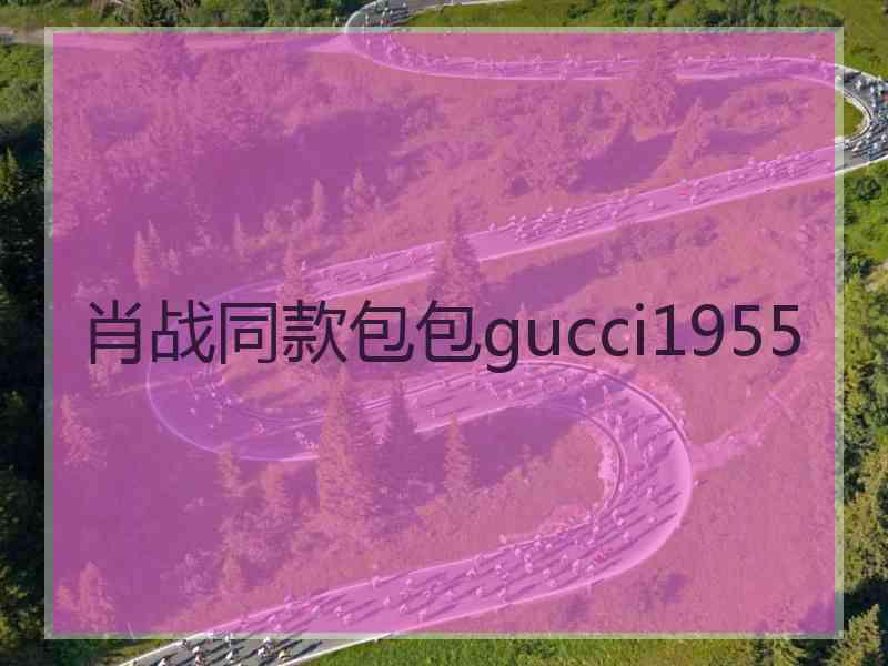 肖战同款包包gucci1955