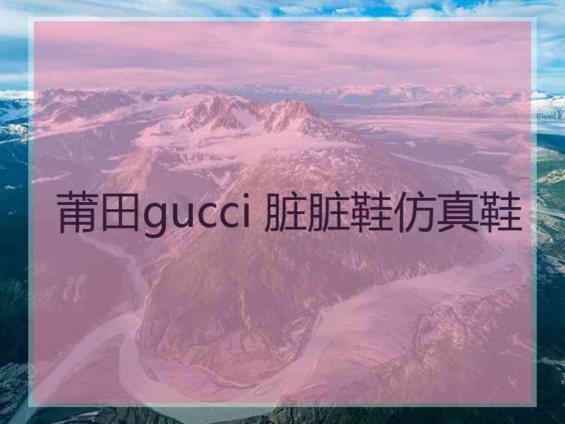 莆田gucci 脏脏鞋仿真鞋