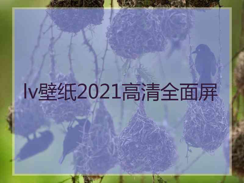 lv壁纸2021高清全面屏