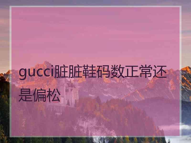 gucci脏脏鞋码数正常还是偏松