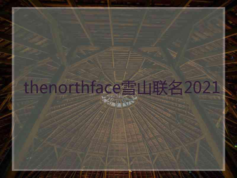 thenorthface雪山联名2021