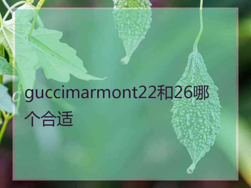 guccimarmont22和26哪个合适