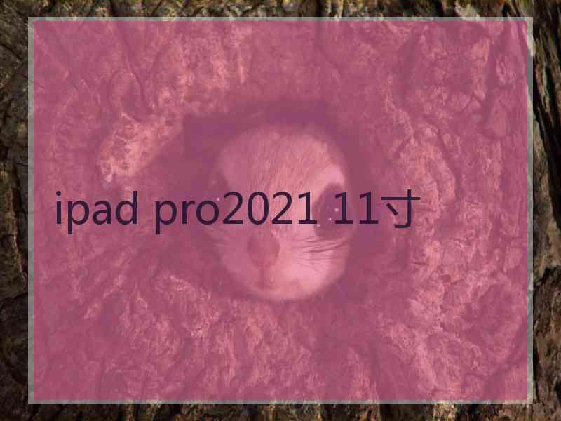 ipad pro2021 11寸