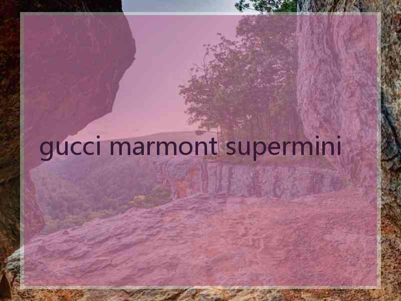 gucci marmont supermini