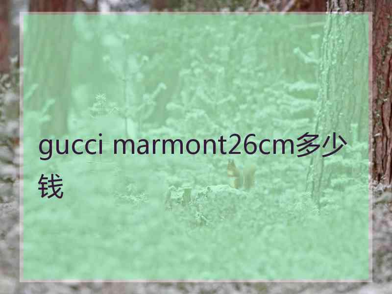 gucci marmont26cm多少钱