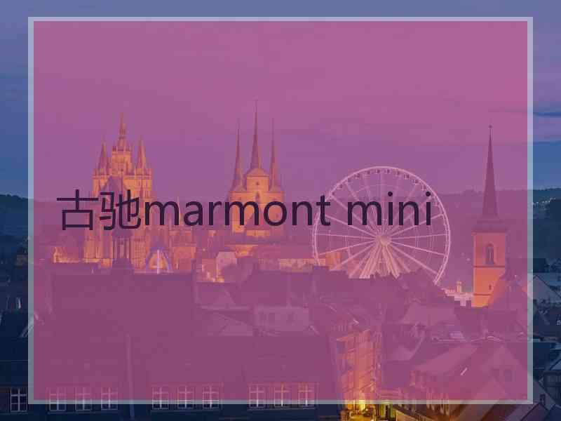 古驰marmont mini